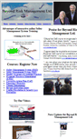 Mobile Screenshot of beyondriskmgmt.com